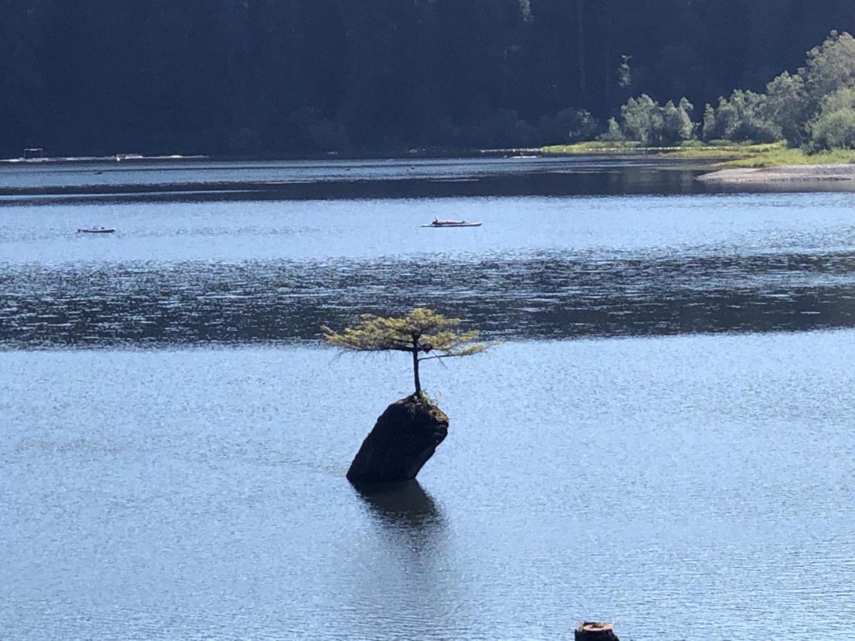 Port Renfrew Vacation Rentals Buitenkant foto