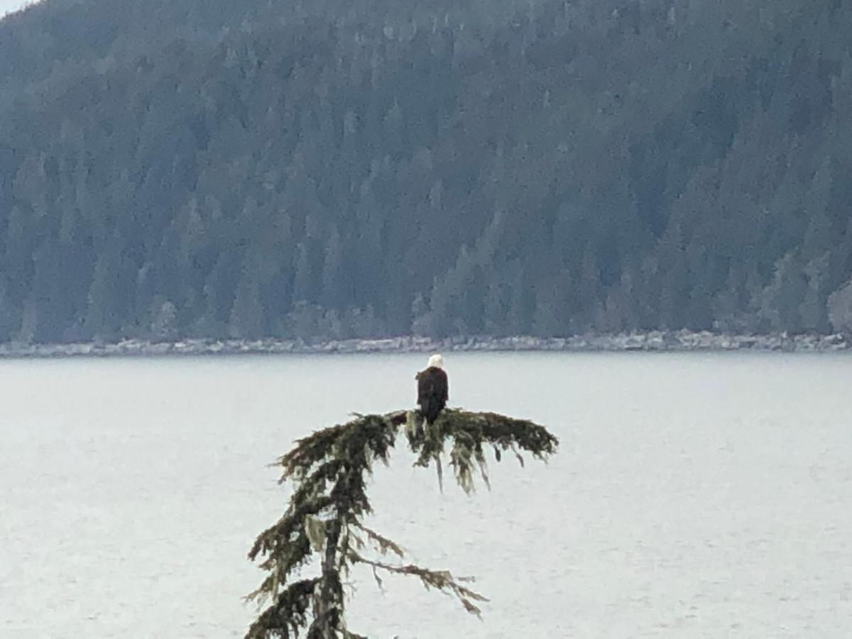 Port Renfrew Vacation Rentals Buitenkant foto