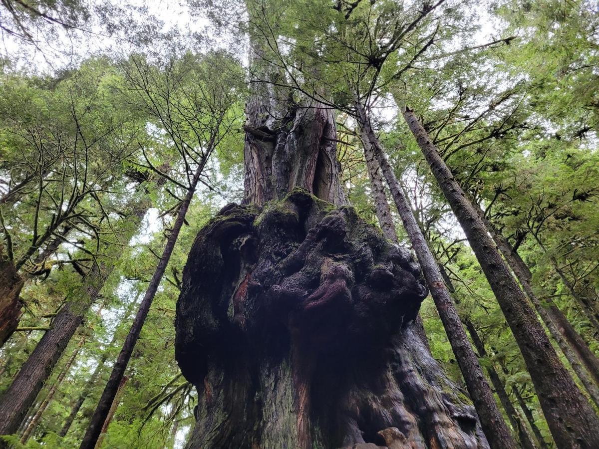 Port Renfrew Vacation Rentals Buitenkant foto